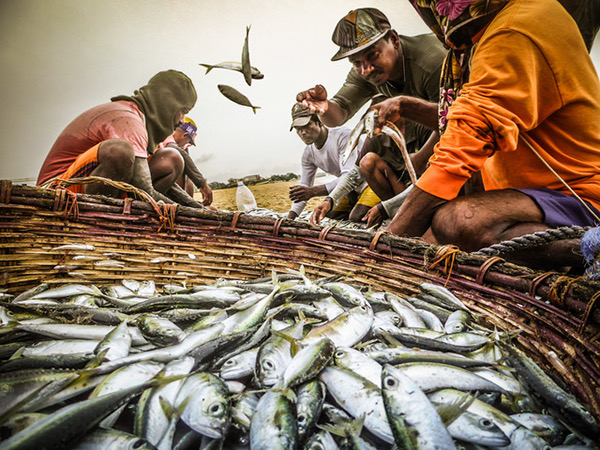 The Fishermen of Negombo