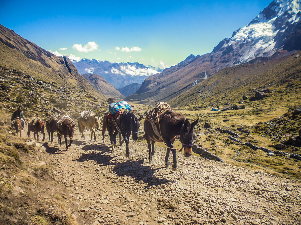 Salkantay pass, Andes plateau, Peru