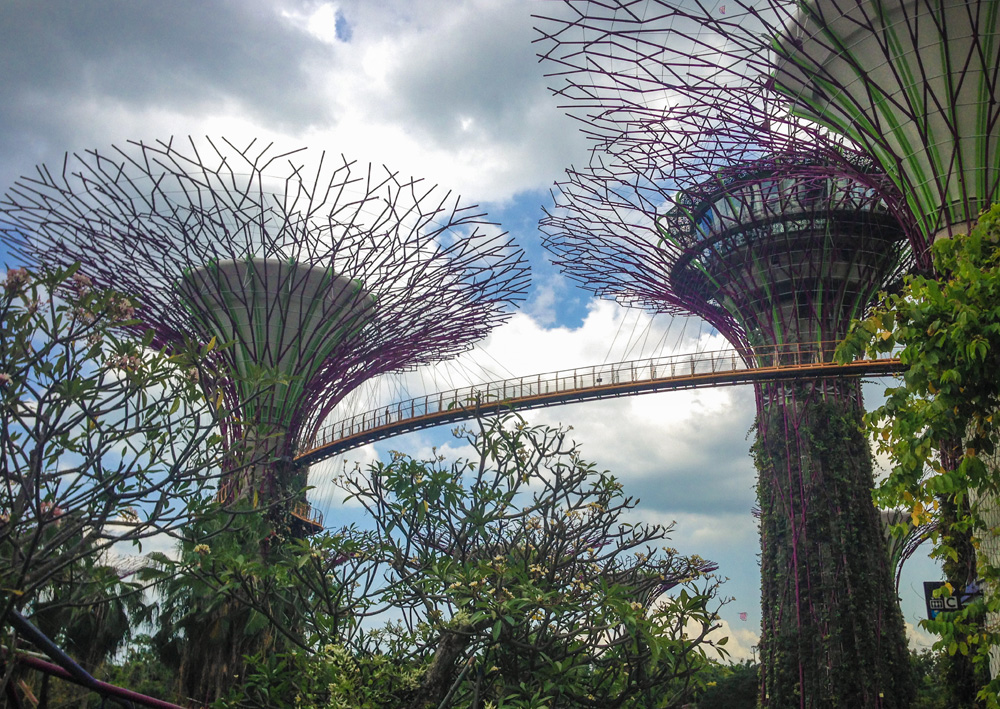 Gardens at the bay Singapore