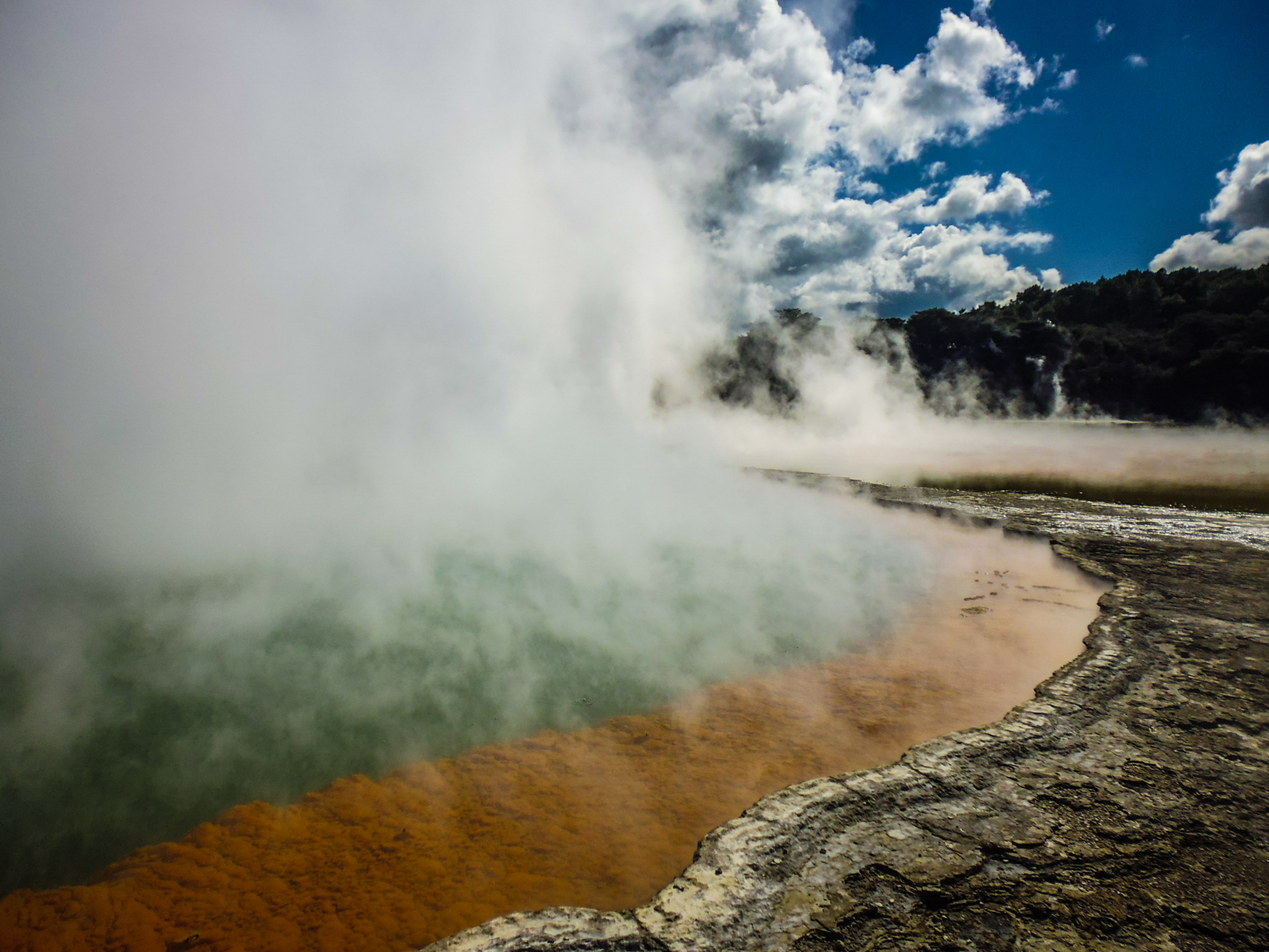 Rotorua thermal park Nieuw Zeeland