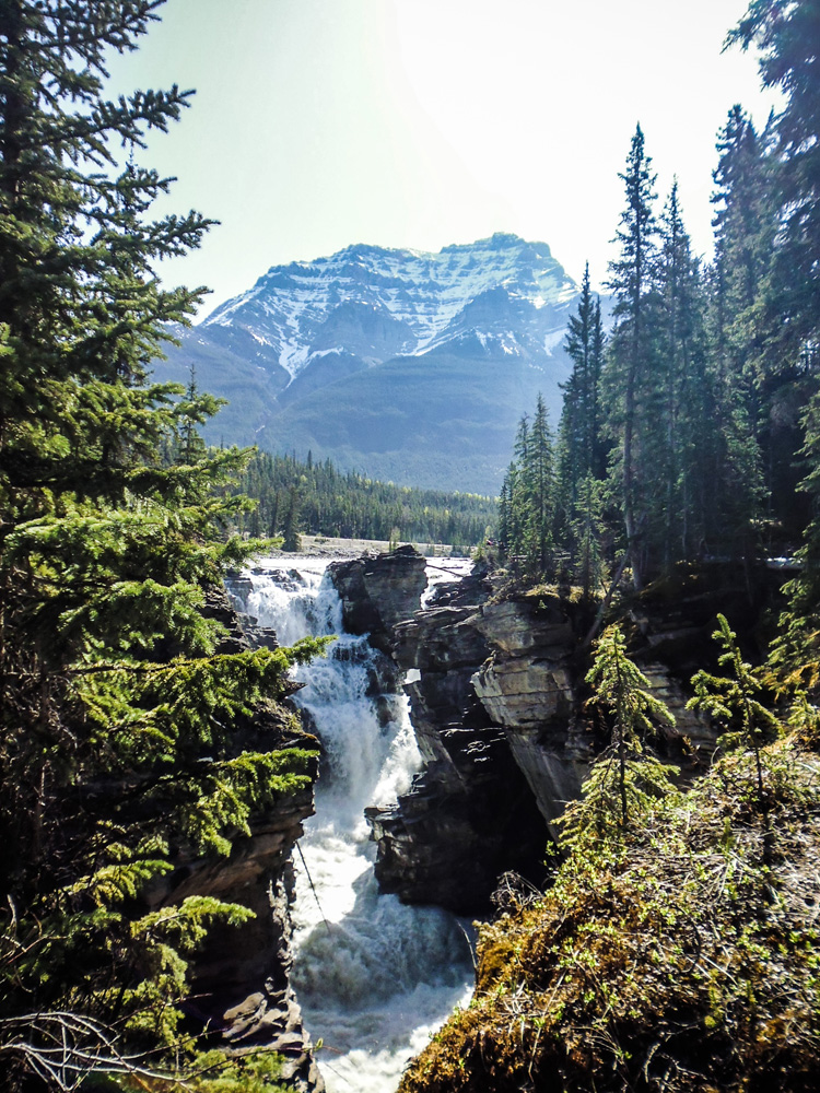 Athabasca falls Jasper national park Canada